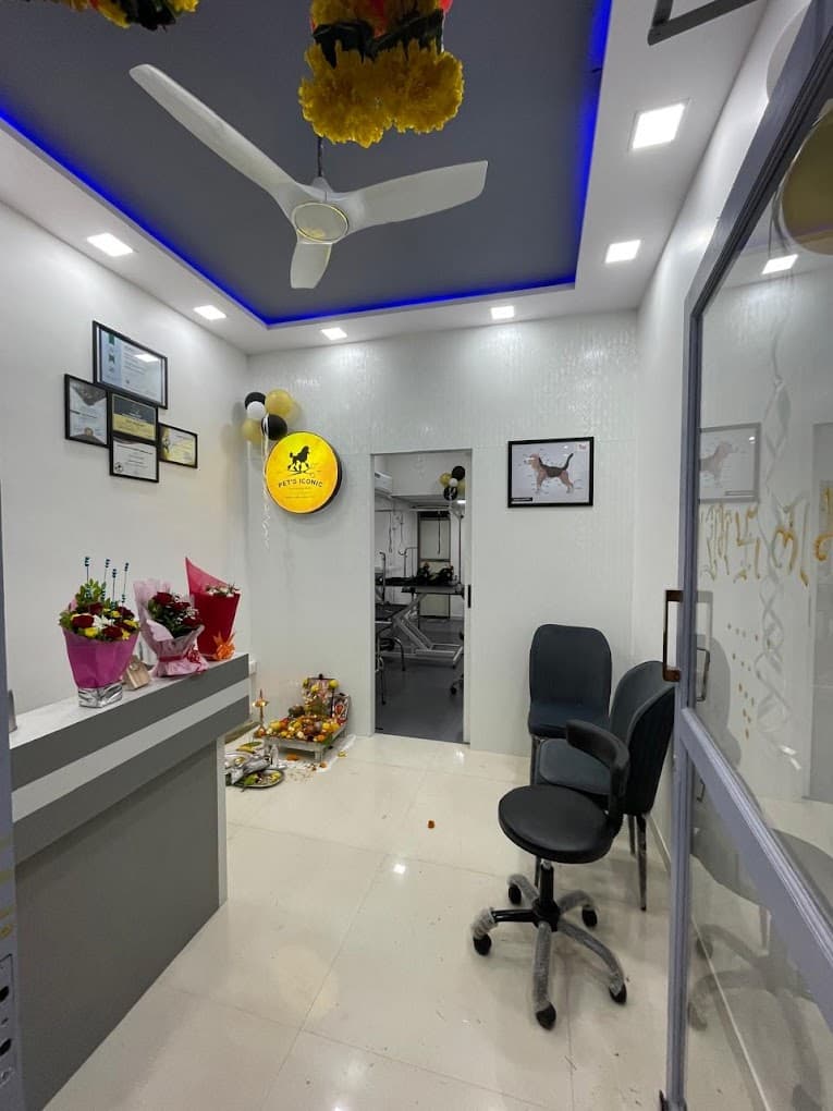 Gallery media